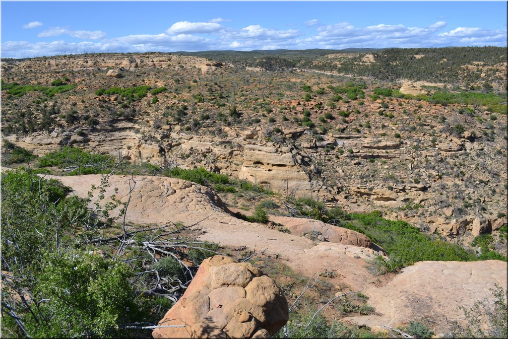 130529-USA-MesaVerde-1640.JPG