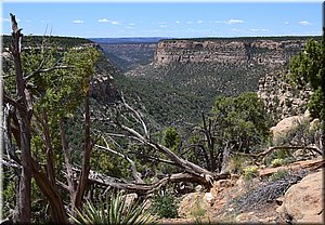 130529-USA-MesaVerde-1539rc.jpg