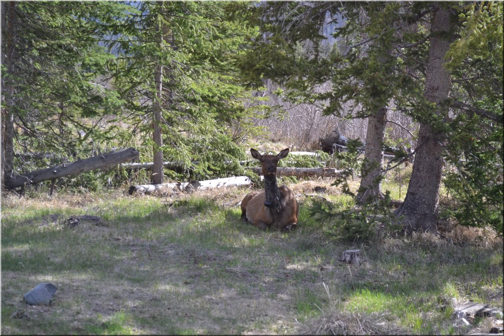 130531-USA-4RockyMountains-1838.JPG