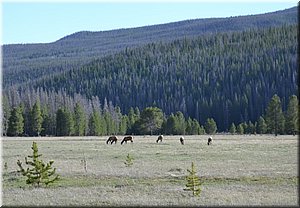 130531-USA-4RockyMountains-1851rc.jpg