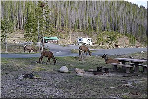 130531-USA-4RockyMountains-1857.JPG