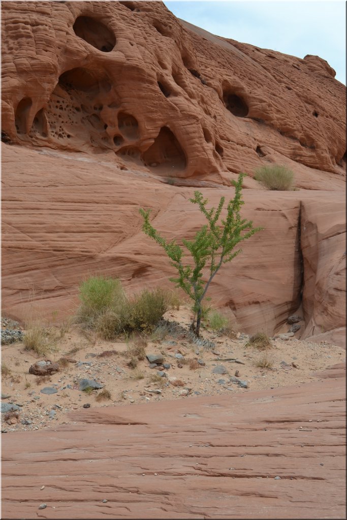 130521-USA-1ValleyOfFire-0189.JPG