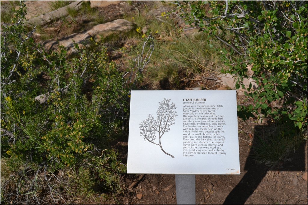 130529-USA-MesaVerde-1584.JPG