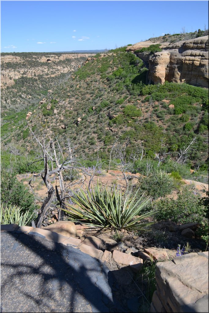 130529-USA-MesaVerde-1632.JPG