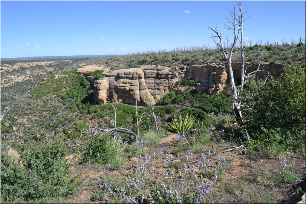 130529-USA-MesaVerde-1642.JPG