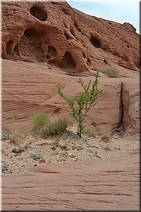 130521-USA-1ValleyOfFire-0189.JPG