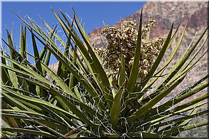 130522-USA-RedRocks-0331.JPG