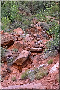 130523-USA-2Zion-0588.JPG