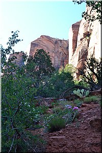 130523-USA-2Zion-0592.JPG