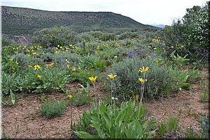 130528-USA-1BlackCanyon-1414.JPG