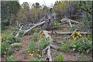 130528-USA-1BlackCanyon-1466.JPG