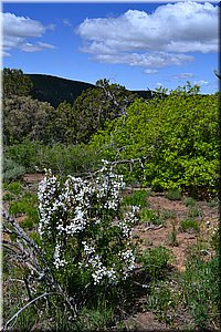 130529-USA-MesaVerde-1529.JPG