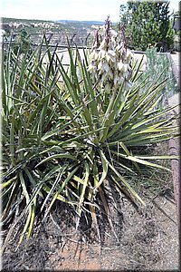 130529-USA-MesaVerde-1570.JPG