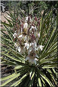 130529-USA-MesaVerde-1571.JPG