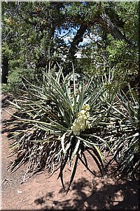 130529-USA-MesaVerde-1572.JPG