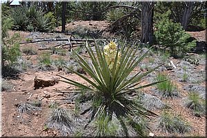 130529-USA-MesaVerde-1573.JPG