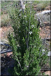 130529-USA-MesaVerde-1579.JPG