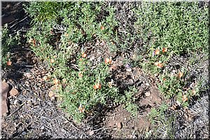 130529-USA-MesaVerde-1580.JPG