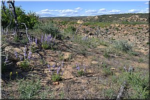 130529-USA-MesaVerde-1622.JPG