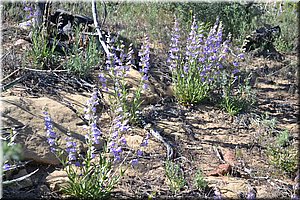 130529-USA-MesaVerde-1623.JPG