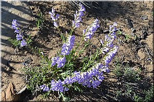 130529-USA-MesaVerde-1629.JPG