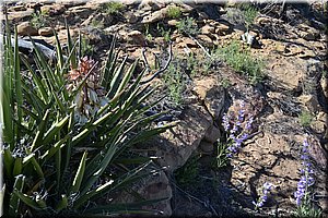 130529-USA-MesaVerde-1631.JPG