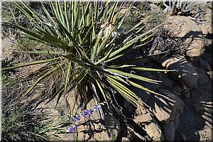 130529-USA-MesaVerde-1638.JPG