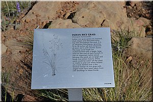 130529-USA-MesaVerde-1643.JPG