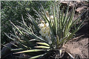 130529-USA-MesaVerde-1644.JPG