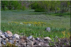 130530-USA-1camp-1675.JPG