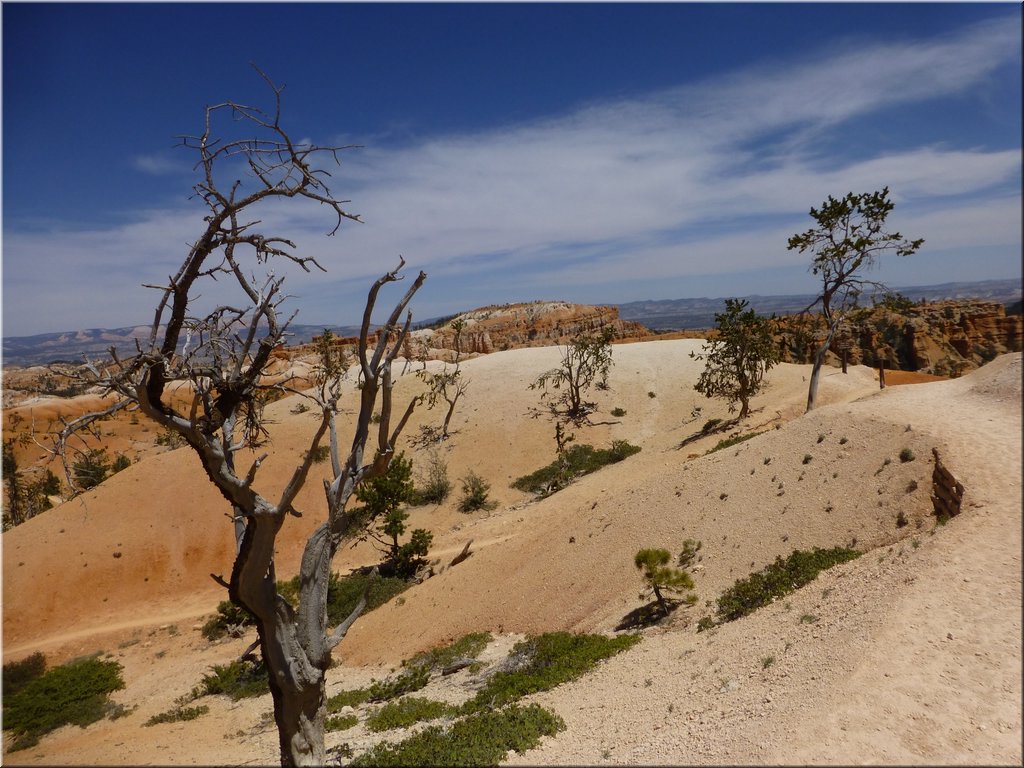 130524-BryceCanyon-177.JPG