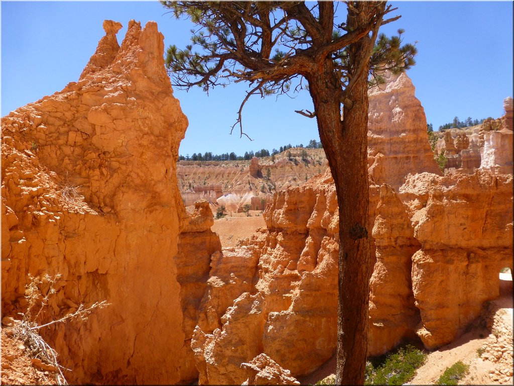 130524-BryceCanyon-182.JPG