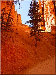 130524-BryceCanyon-216.JPG