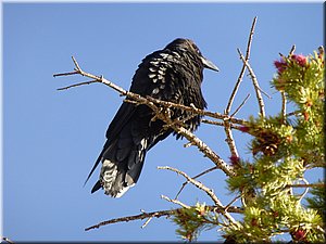 130524-BryceCanyon-256.JPG