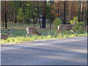 130524-BryceCanyon-271.JPG