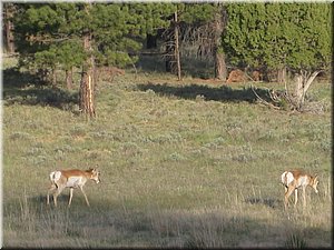 130524-BryceCanyon-442.JPG