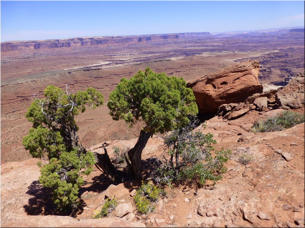 130526-Canyonlands-363.JPG