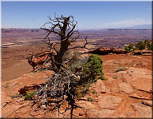 130526-Canyonlands-362rc.jpg