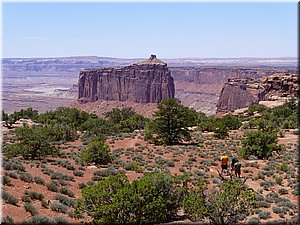 130526-Canyonlands-409.JPG