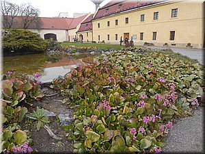 190414-DBN-Roztoky-1657_BB.JPG