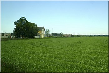 240612_01_ndrHoresedly_Tomas.JPG