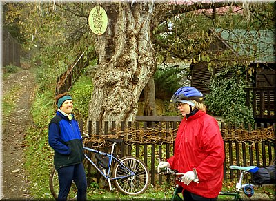 2001-11-17 BBCC Nouzov 92 ---zneg.jpg